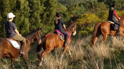 horse riding